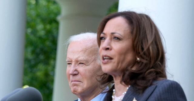 Afghanistan Gold Star Parent: Harris 'Owns' Chaos 'As Much As' Biden Does, 'Neither' Knows What They're Doing