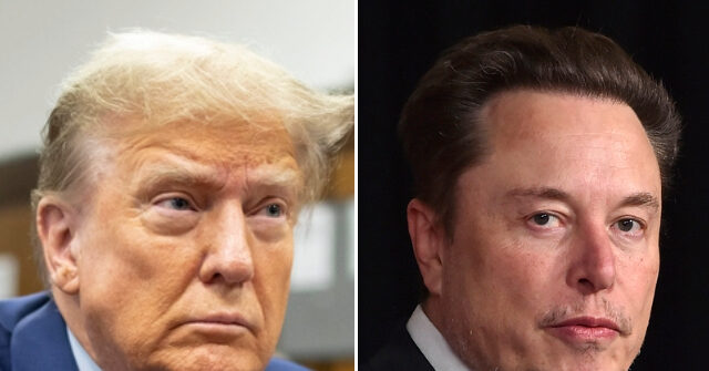 Donald Trump, Elon Musk: ‘We Don’t Have a President Right Now’