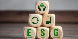 ESG Undermines Social Welfare