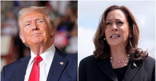 Exclusive: Donald Trump Crushes Kamala Harris with List of Flip-Flops