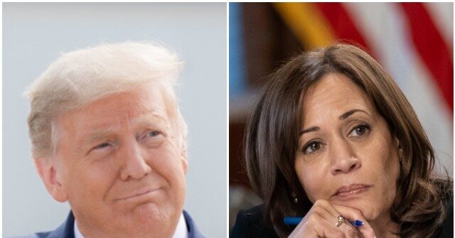 Exclusive — Donald Trump: Kamala Harris Will Not Sit with Any Real Journalists, Only ‘a Soft Democrat Interview’