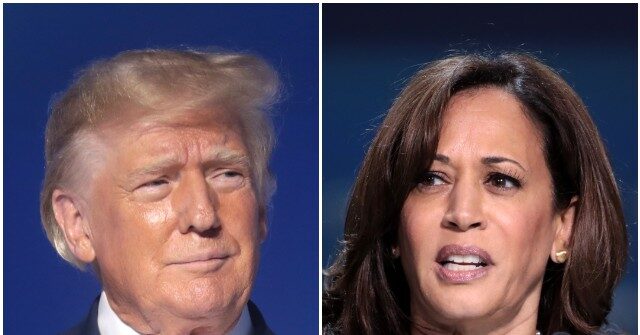 Kamala Harris Copies Trump's No Taxes on Tips Campaign Promise