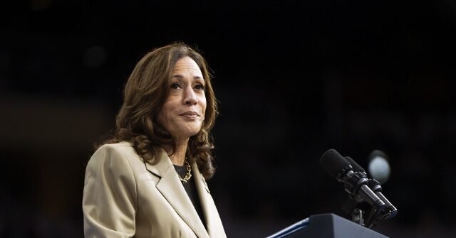 Kamala Harris Vows Amnesty for Millions of Illegals, Nationwide Mail-In Voting