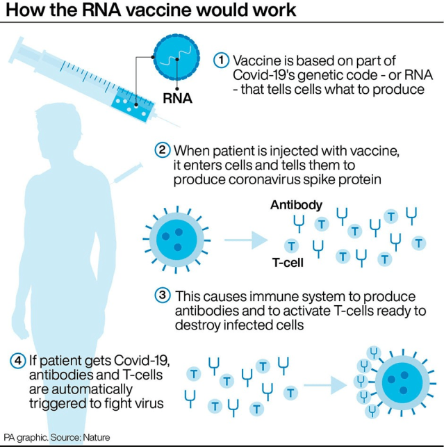 Monkeypox?: Shingles? Sudden Adult Death Syndrome? Hepatitis? Something is very wrong and it’s due to the COVID Vaccines