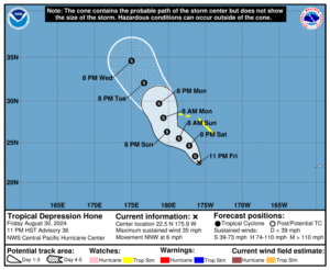 TROPICAL DEPRESSION HONE