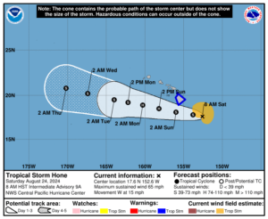 TROPICAL STORM HONE