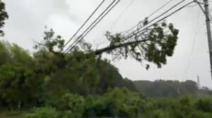 Typhoon makes landfall on Japanese island of Kyushu: weather office