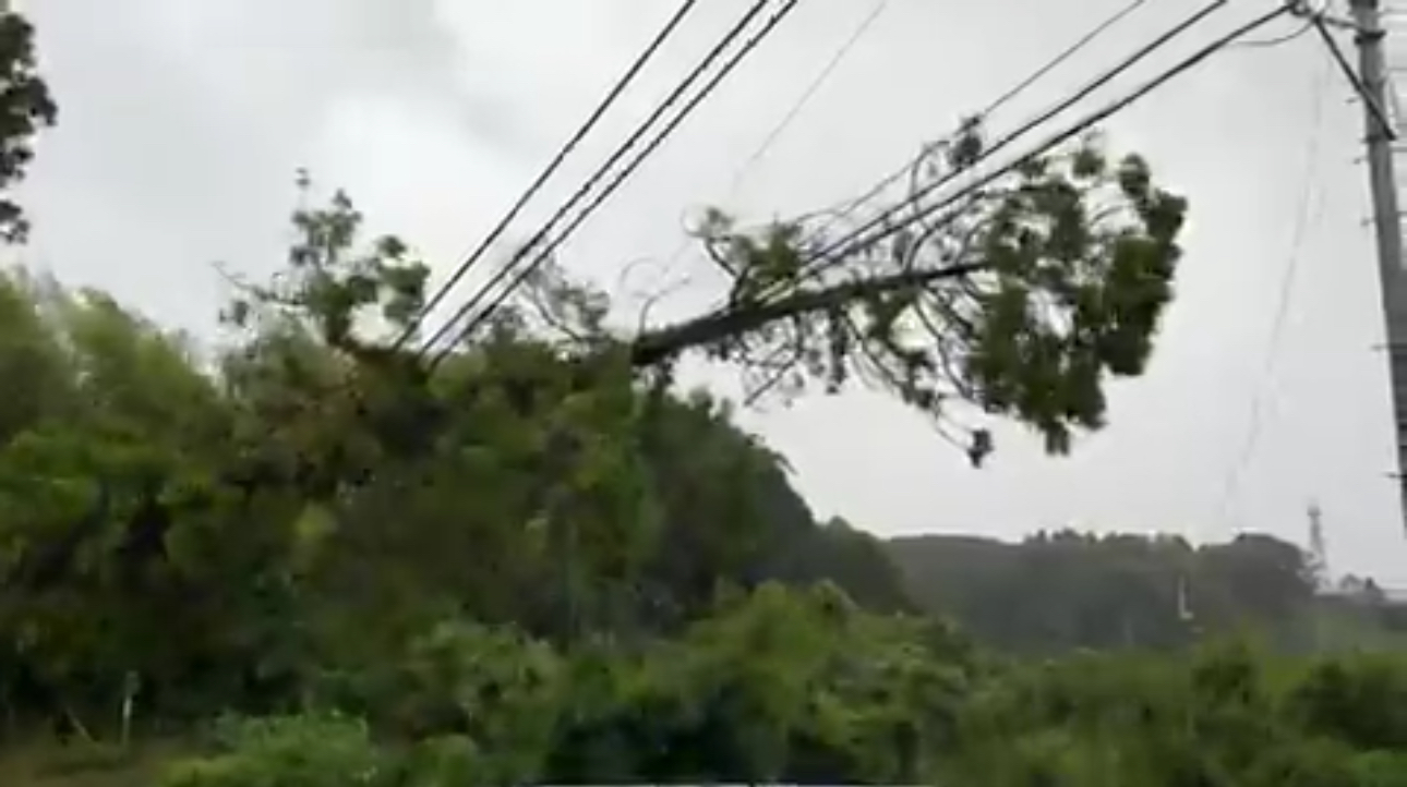 Typhoon makes landfall on Japanese island of Kyushu: weather office