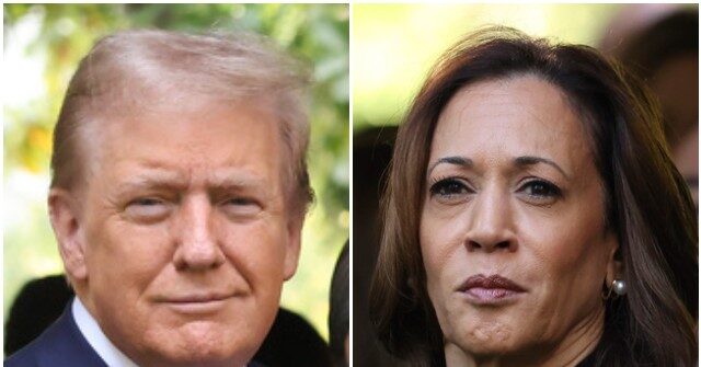 Fox News Poll: National Race Between Trump, Kamala Harris a Tossup