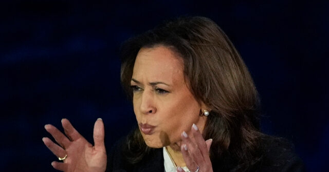 Mark Matson: Kamala's Tax Policies Are an 'American Dream Destroyer'