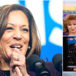 Kamala Harris Sets Hollywood Media Charm Offensive: 'The View,' Stephen Colbert, Howard Stern