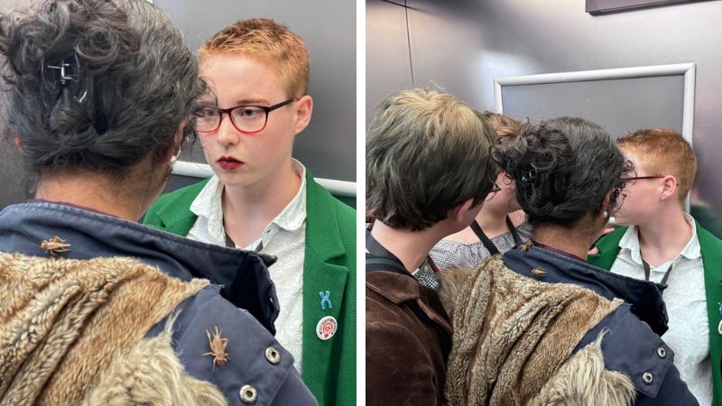 Militant trans activists sabotage UK LGB Alliance conference by unleashing thousands of insects