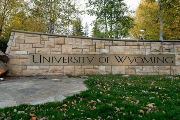 MORGONN MCMICHAEL: University of Wyoming women’s volleyball forfeits match against team with trans-identified male