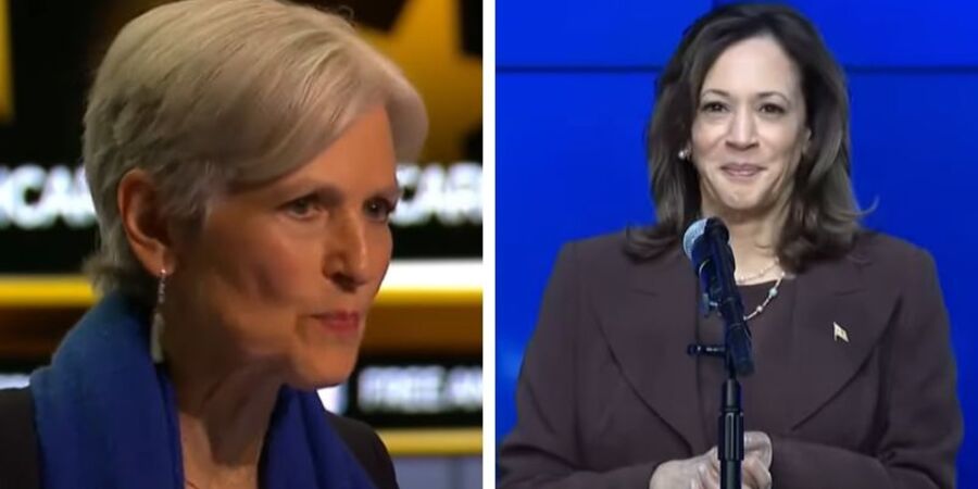 EU Green Party calls on Jill Stein to drop out of US presidential race and back Kamala