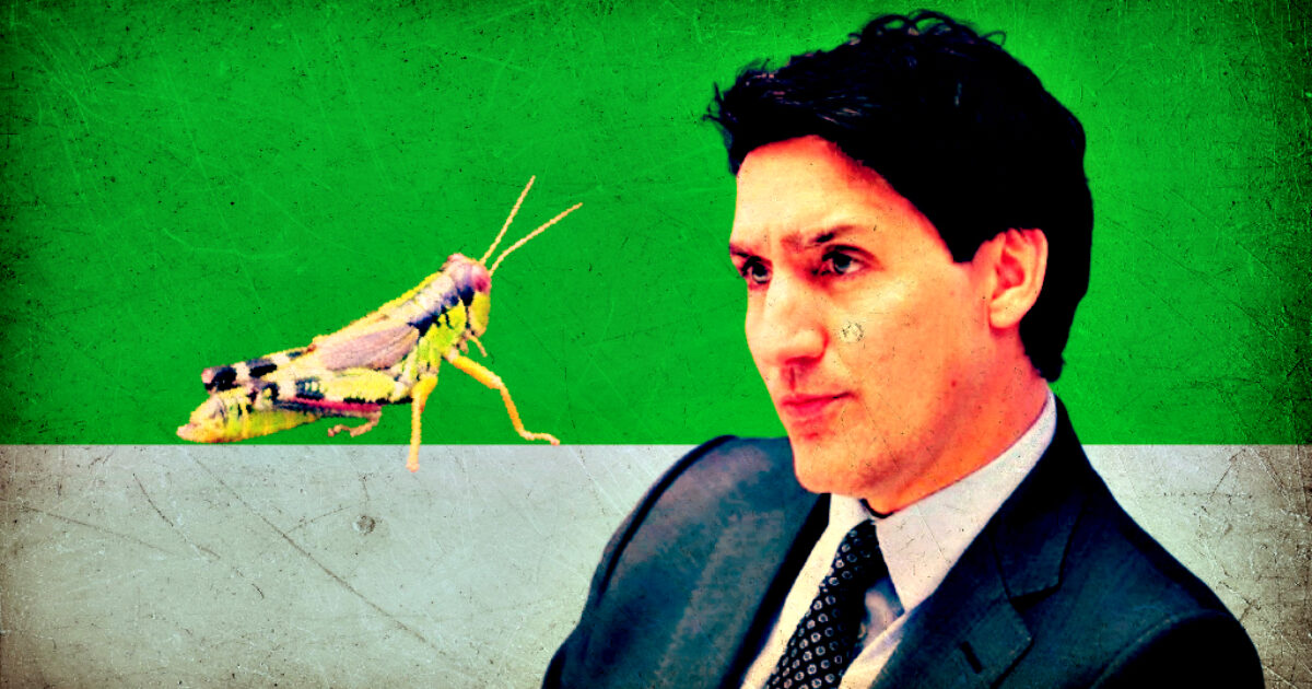 Globalist Trudeau Went All in With Feeding Insects to Canadians – Embattled Prime Minister Blew $9 Million in Failed Edible Cricket Factory