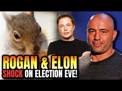 Joe Rogan ENDORSES Before Big Day: Elon Musk SHOCKS World with JRE Appearance – Will New Media WIN?