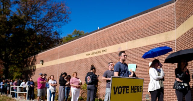 Kamala Harris: ‘It Will Take Time to Count Every Vote’