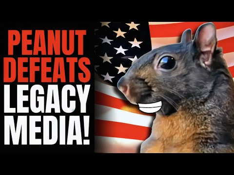 Mainstream Media PANICS, Losing Control of America: Voters REJECT News, Side with PEANUT!