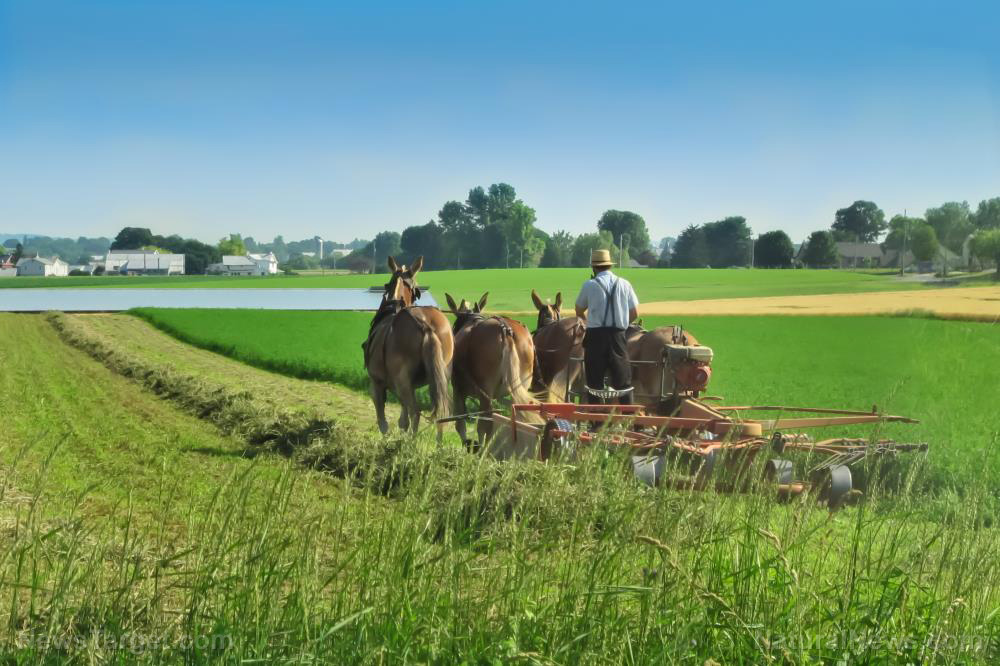 BIG NEWS for SUSTAINABLE FARMING: Joel F. Salatin, American farmer, author and environmentalist, appointed by Trump as “Advisor to the Secretary” for USDA