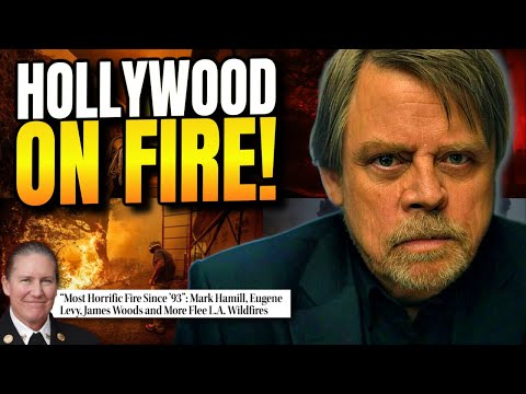 Celebrities EVACUATED as Homes Burn: President Trump and Elon Musk BLAME California DEI for Fires!