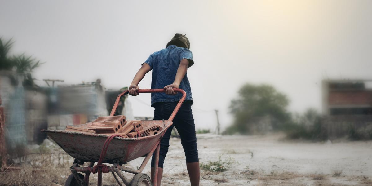 Child Labor Laws Protect Minors but Harm Individuals