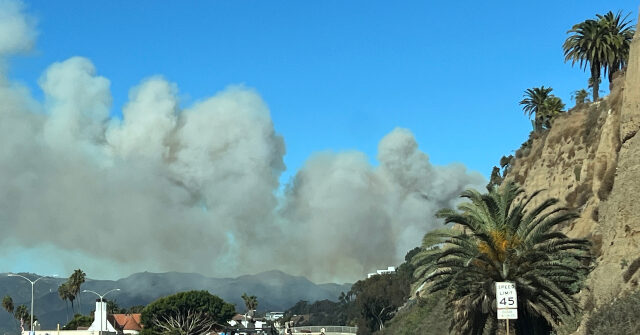 Palisades Inferno Rocks Los Angeles, Forces Evacuations