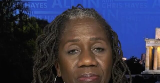 Sherrilyn Ifill: Trump's J6 Pardons Meant to Create Army of 'Brownshirts'