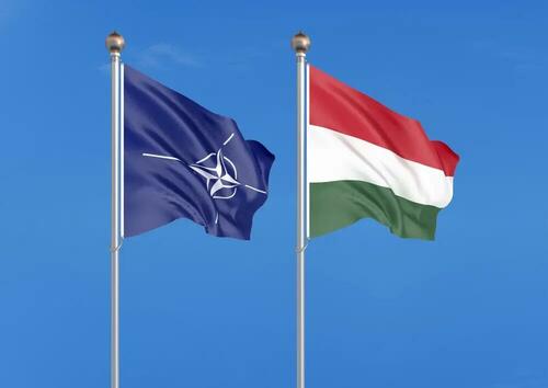 Ukraine Says Ready To Replace 'Putin-Friendly' Hungary In EU & NATO